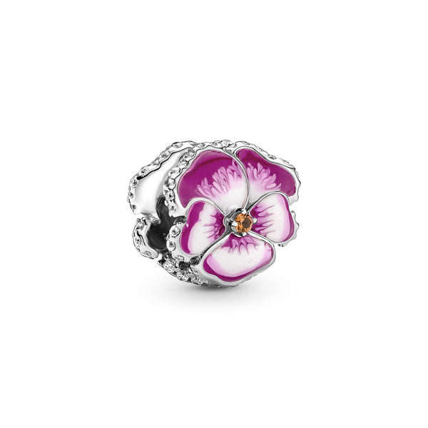 790777c01 Charm Viola del pensiero Rosa