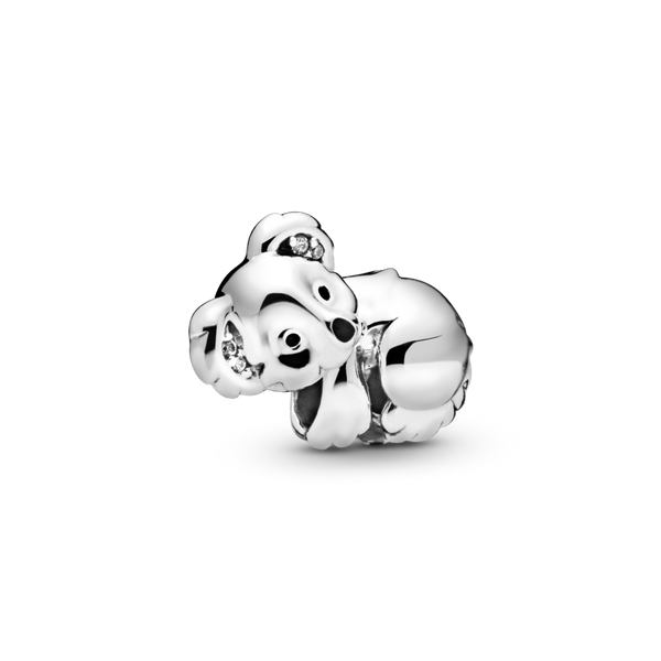 798431c01 Charm Koala