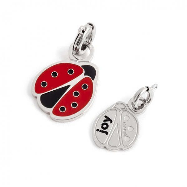 18ch069 Charm coccinella